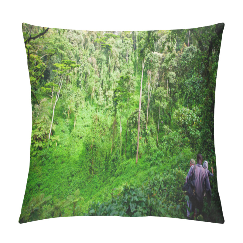 Personality  African Rainforest In The Bwindi Impenetrable Forest National Park, At The Borders Of Uganda, Congo And Rwanda. The Bwindi National Park Is The Home Of The Mountain Gorillas. Pillow Covers