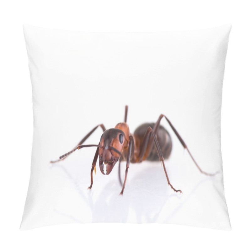 Personality  Ant Isolated On White Background. Pillow Covers