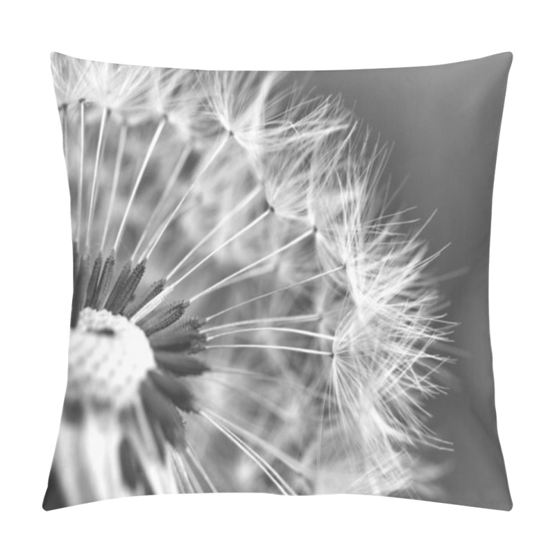 Personality  Close-up Of Dandelion Seed Head Pillow Covers