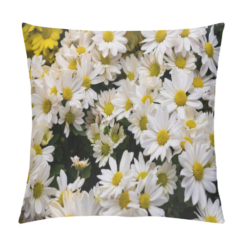 Personality  An Enchanting Array Of Daisies, Inviting Viewers Into A Whimsical Floral Wonderland Filled With Joy And Charm. Pillow Covers