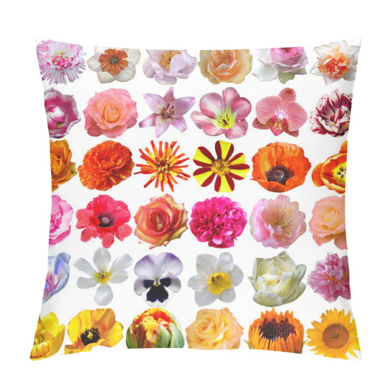 Personality  Big Selection Of Various Flowers Isolated On White Background Pillow Covers