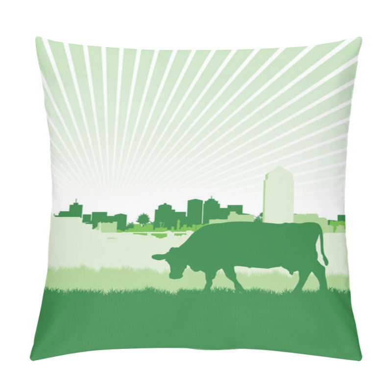 Personality  Cow Pillow Covers