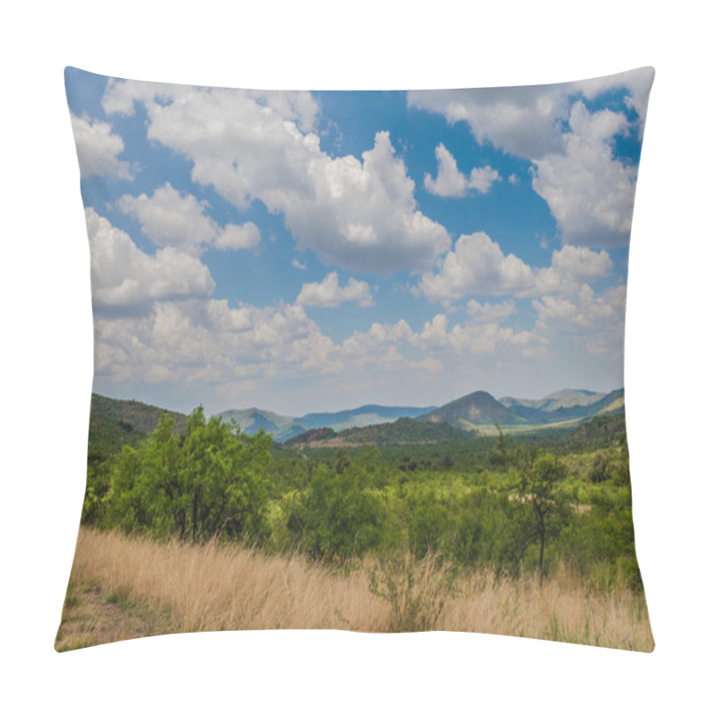 Personality  Pilanesberg National Park. South Africa. December 7, 2014 Pillow Covers