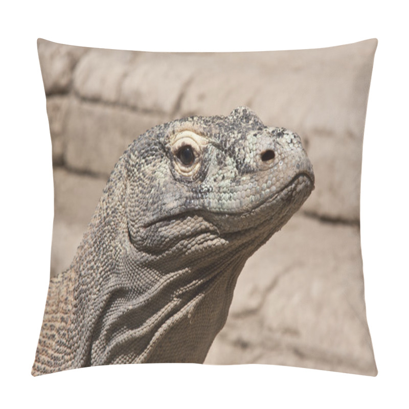 Personality  Bali Giant Lizard Pillow Covers