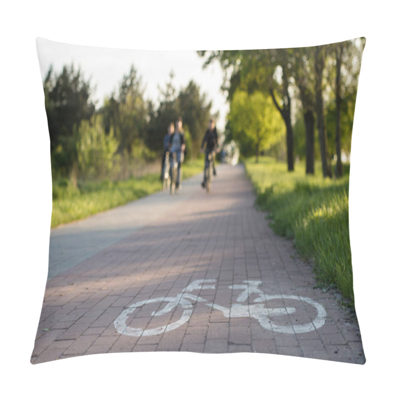 Personality  Bicycle Path With Horizontal Marking. Designated Place For Cycli Pillow Covers