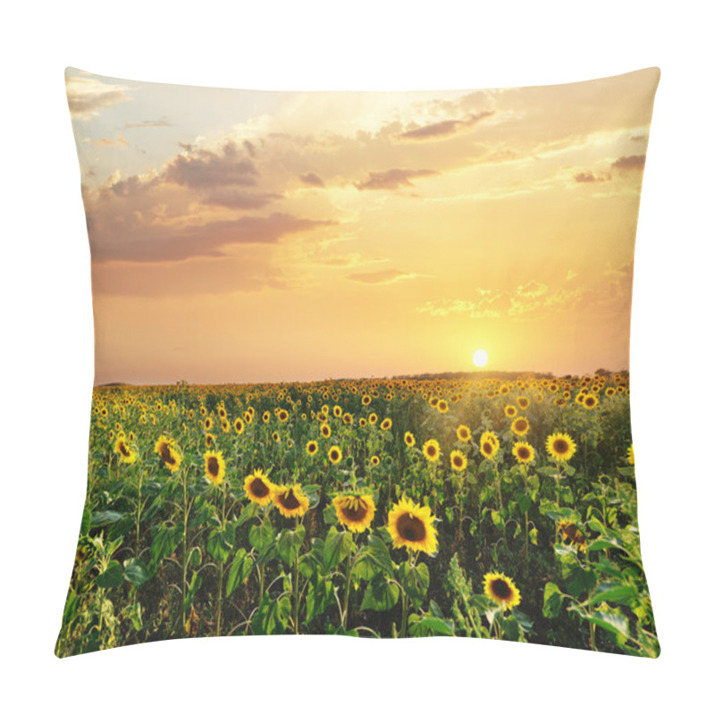 Personality  Sunflowers Field In Ukraine Pillow Covers