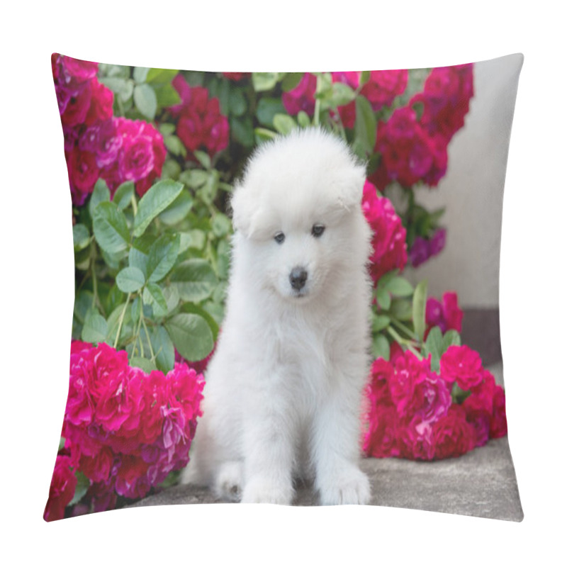 Personality  White Furry Samoyed Puppy Sitting With Red Roses Pillow Covers