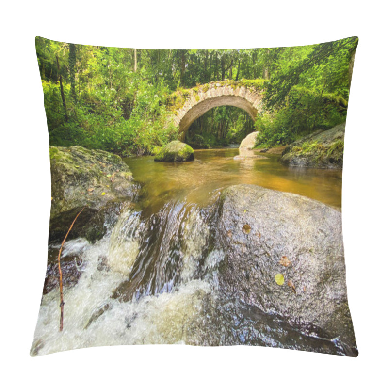 Personality  One Unrecognizable Person Swim In The Narlay Lake, Le Frasnois, Bourgogne-Franche-Comte, Jura Pillow Covers