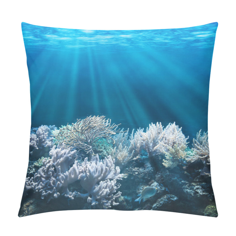 Personality  Underwater Pillow Covers