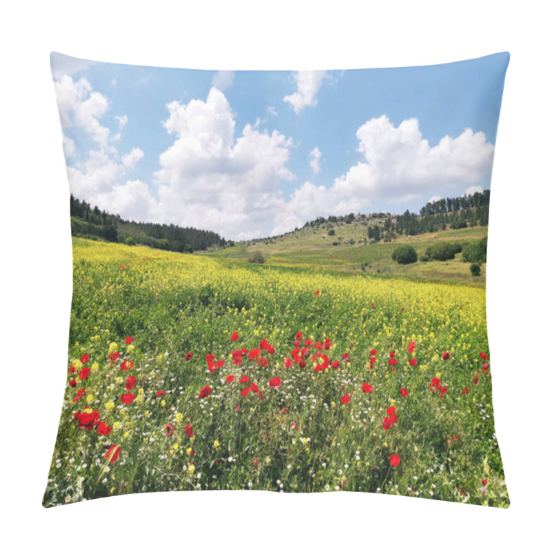 Personality  Poppies, Chamomile And Yellow Flowers In Springtime In Adulam National Park. Pillow Covers