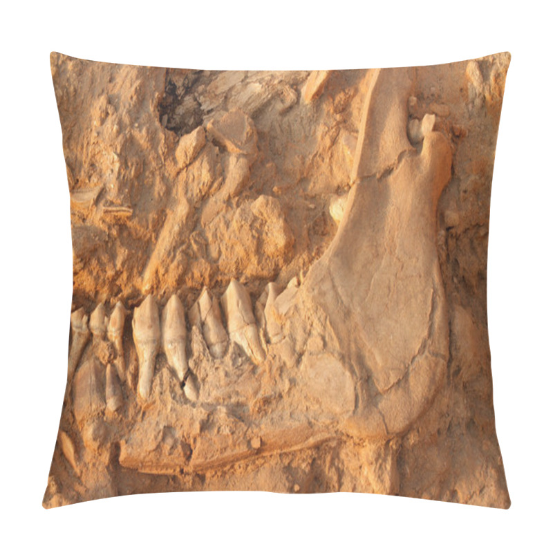 Personality  Ancient Fossil Jaw Bone Pillow Covers