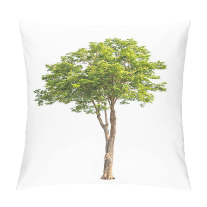 Personality  Pterocarpus Indicus Known By Several Common Names, Including Amb Pillow Covers