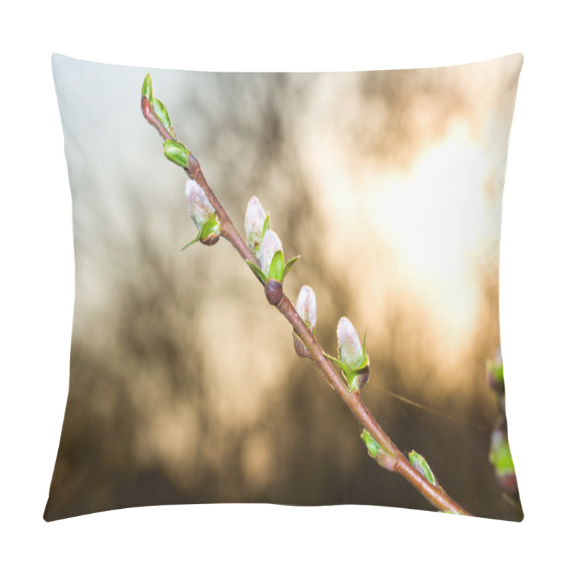 Personality  Pussy-willow Branch At Dawn Pillow Covers