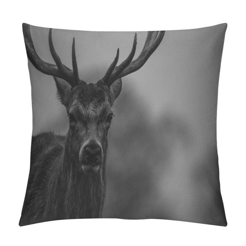 Personality  Beautiful Red Deer Pillow Covers