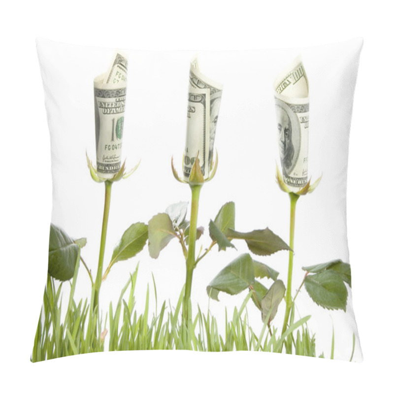 Personality  Financial Growth. Conceptual Image Pillow Covers