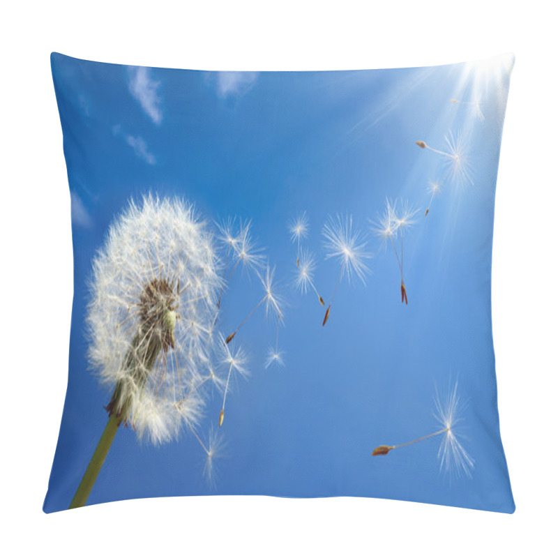 Personality  Allergy Concept In Spring Pillow Covers