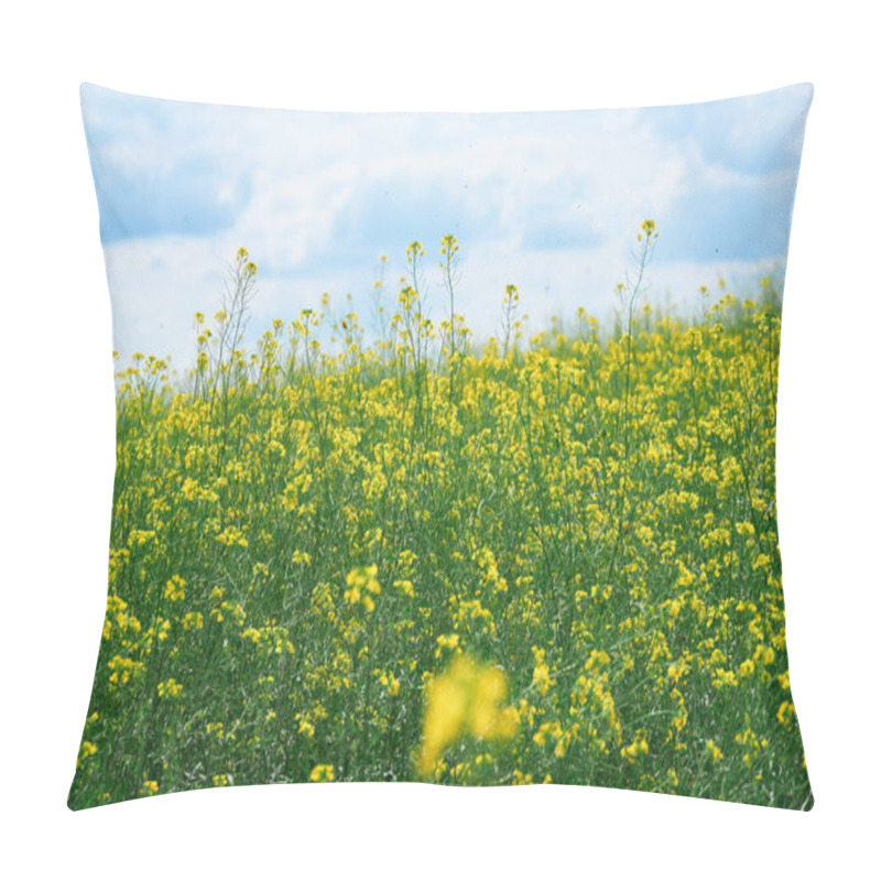 Personality  Beautiful Summer Landscape - A Meadow With Yellow Flowers In The Forest On A Bright Sunny Day Pillow Covers