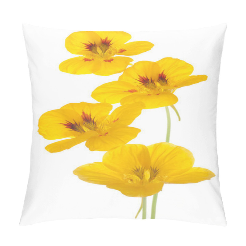 Personality  Nasturtium Pillow Covers