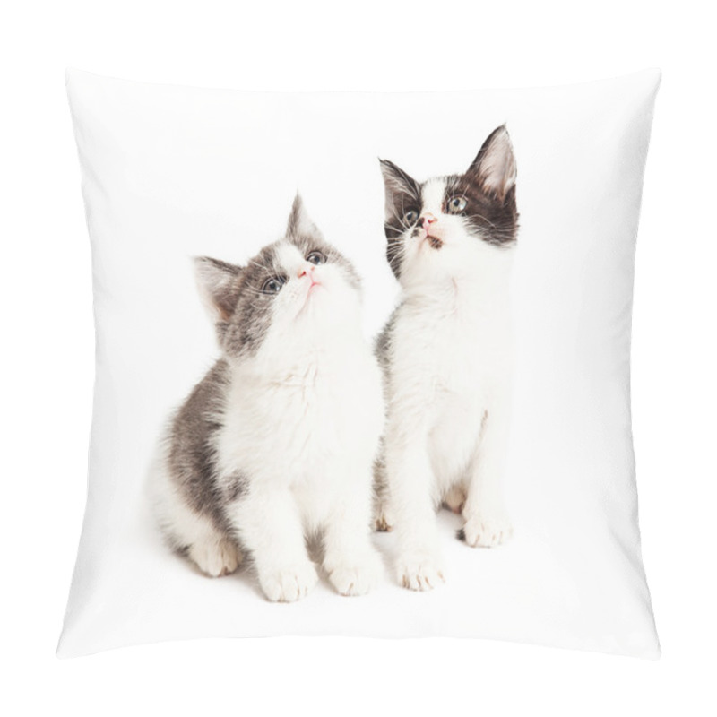 Personality  Playful Kittens Sitting Together Pillow Covers