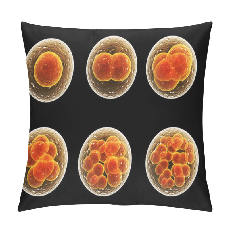 Personality  Process Division Of Cell Pillow Covers