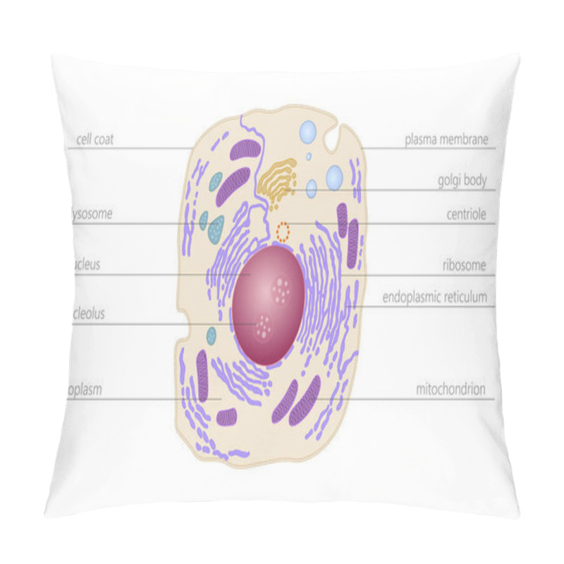 Personality  Animal Human Cell Structure Educational Science. Microscope 3d Eukaryotic Nucleus Organelle Medicine Technology Analysis. Glowing Colored Biology Poster Template Isolated Line Vector Illustration Pillow Covers