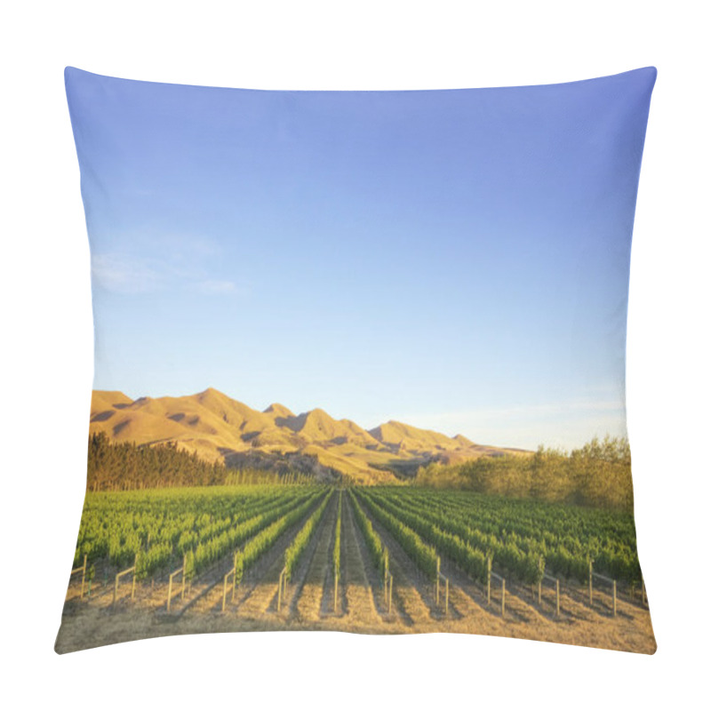 Personality  Vineyard In Canterbury, New Zealand Pillow Covers