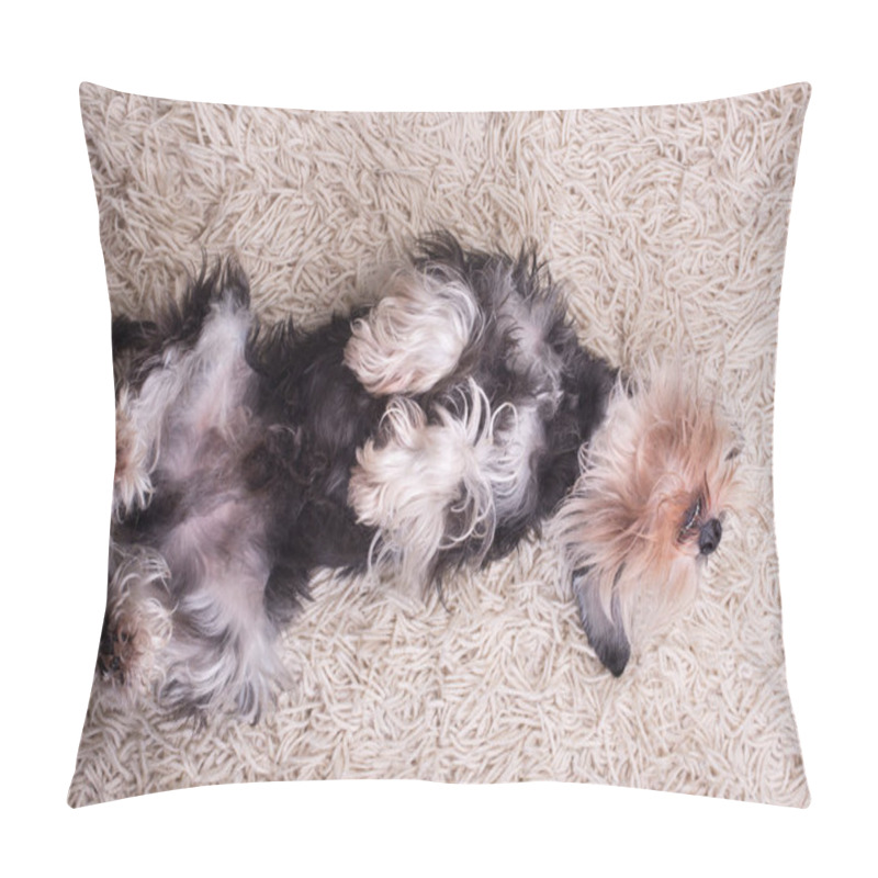 Personality  Black And Silver Miniature Schnauzer Lying On Back With Legs Up On Fluffy Carpet Pillow Covers