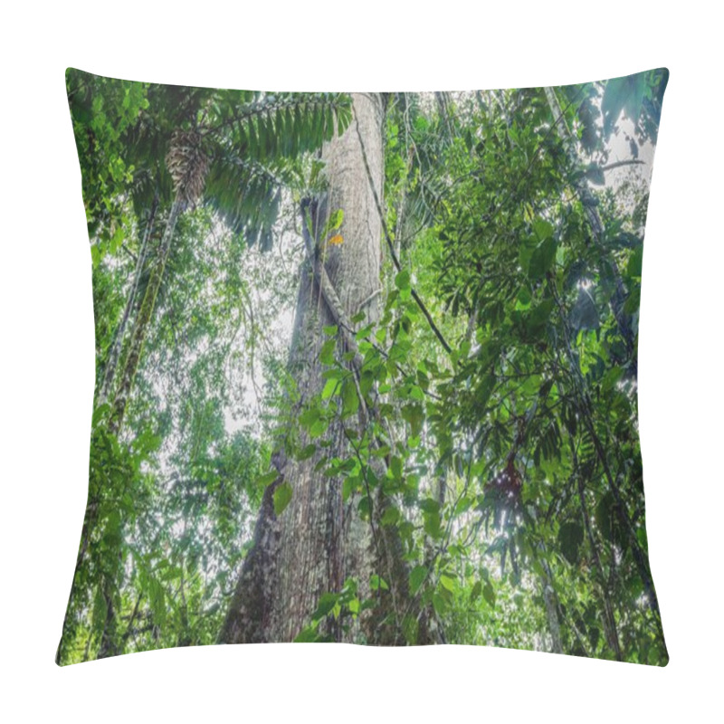 Personality  Giant Kapok Tree, Ceiba Pentandra Pillow Covers