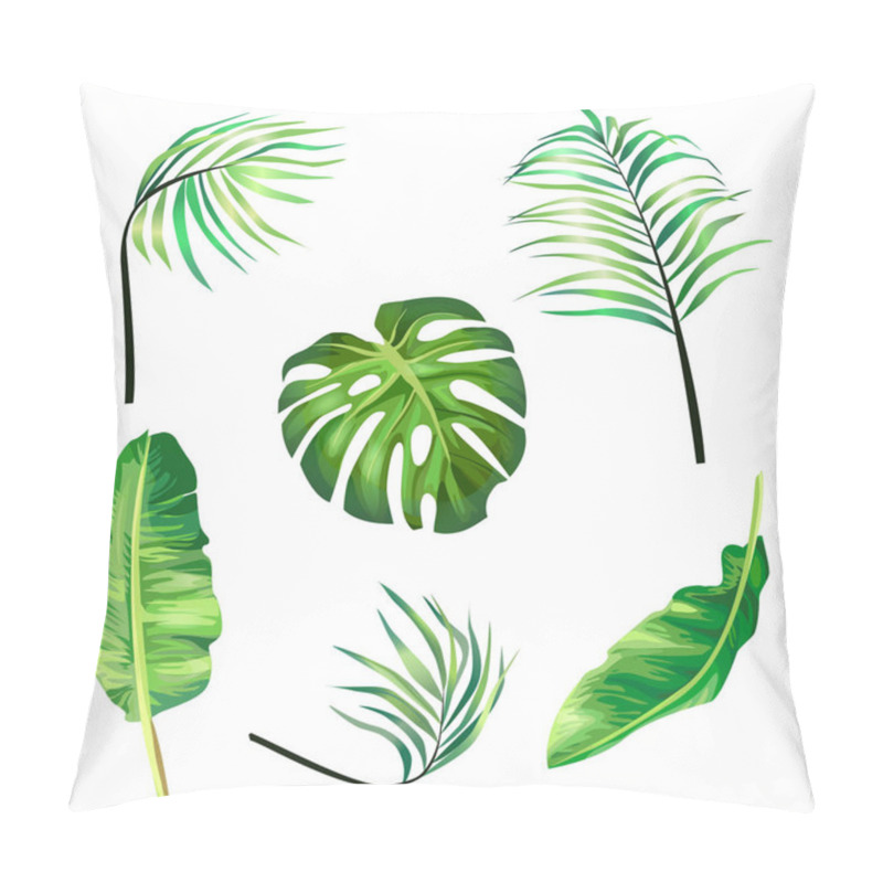 Personality  Set Of Botanical Vector Illustrations Of Tropical Palm Leaves In A Realistic Style. Pillow Covers