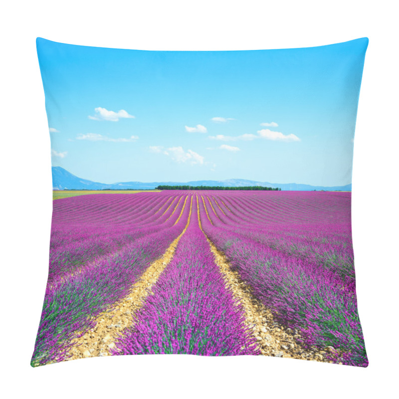 Personality  Lavender Flower Blooming Fields Endless Rows. Valensole Provence Pillow Covers