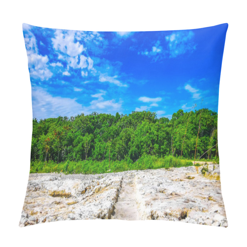 Personality  Green Tropical Jungle And Nature Palm Trees Palms Of Tulum With Blue Sky In Quintana Roo Mexico. Pillow Covers