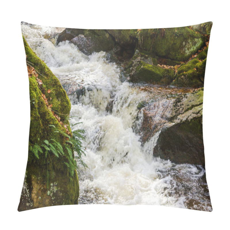 Personality  Harz Ilsetal National Park Pillow Covers