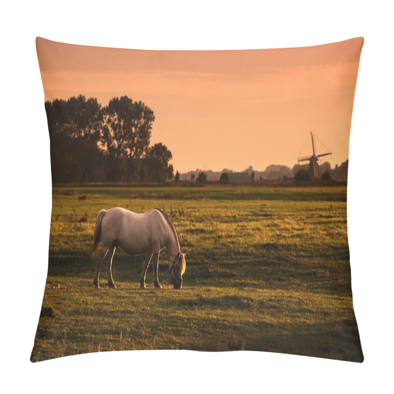 Personality  White Horse On Pasture At Sunrise Pillow Covers