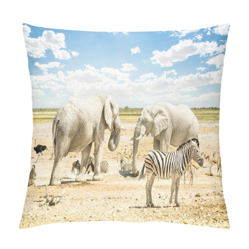 Personality  Group Of Wild Mixed Animals Relaxing On A Water Pool Spot At Etosha Park - World Famous Natural Wonder In The North Territory Of Namibia - African Safari Game Drives And Free Wildlife Outdoors Pillow Covers