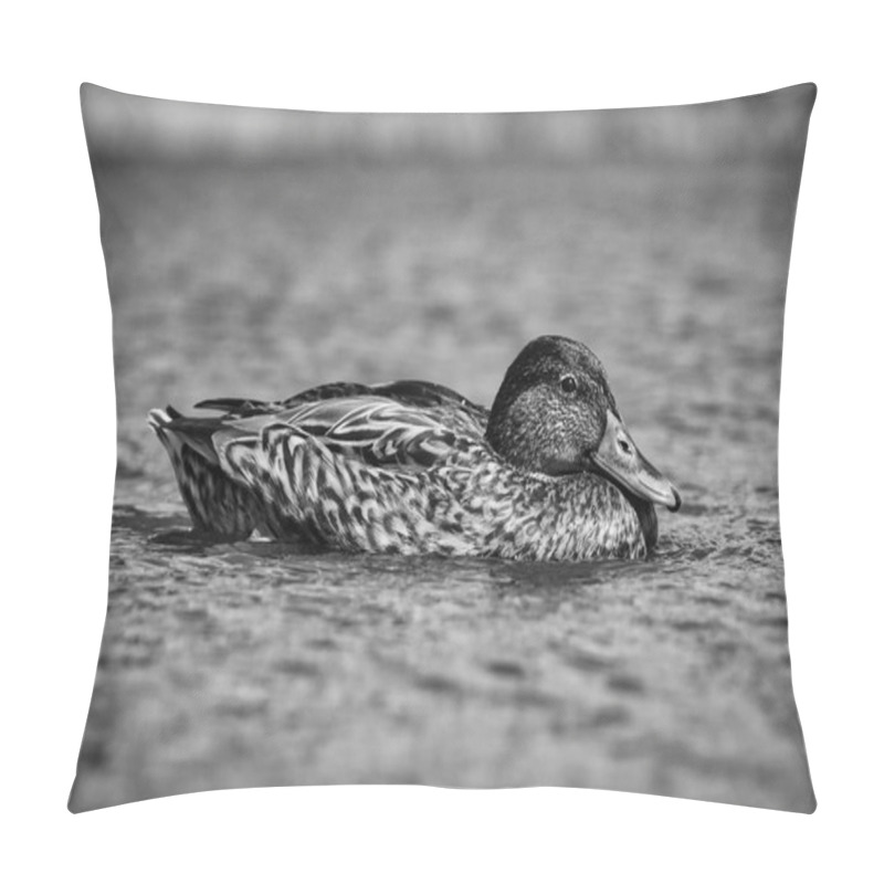 Personality  Black And White Photo Of Beautiful Duck Swimming In The Water Pillow Covers