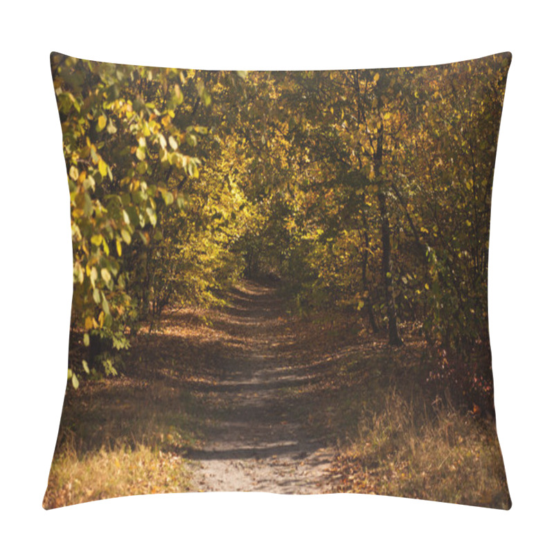 Personality  Scenic Autumnal Forest With Golden Foliage And Path In Sunlight Pillow Covers