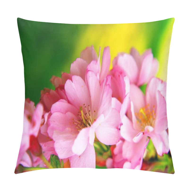 Personality  Spring Cherry Tree Flowers Bloom Pillow Covers