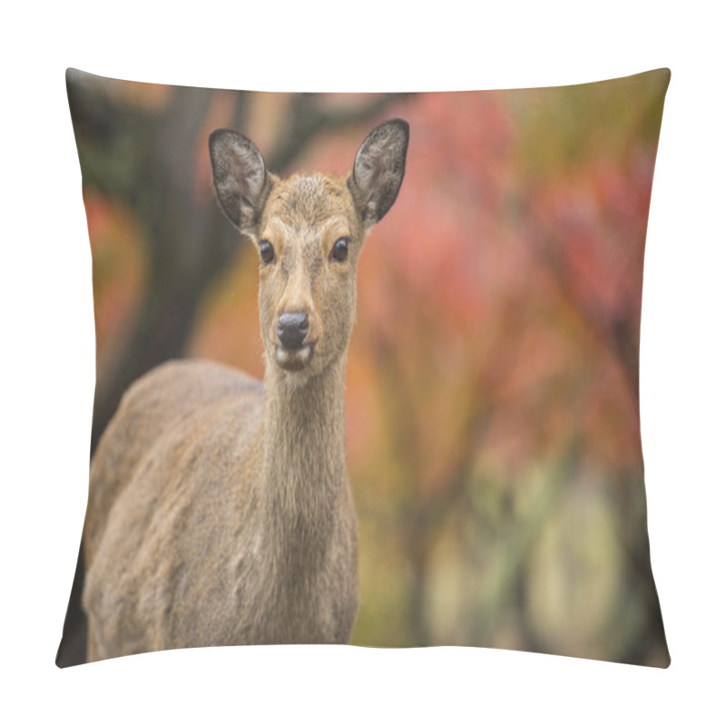 Personality  Nara Deer Roam Free In Nara Park, Japan Pillow Covers