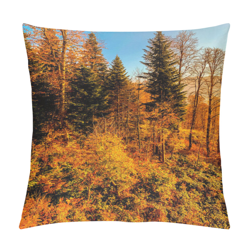 Personality  Autumn Landscape. Beautiful Autumn Forest With Orange And Yellow Pillow Covers