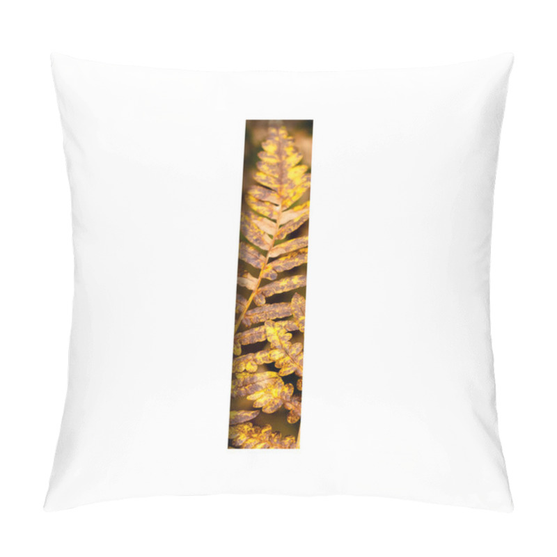 Personality  The Letter I Is Cut From White Paper With Autumn Fern Leaves Background, Late Autumn Font Or Alphabet. Collection Of Decorative Fonts. Pillow Covers