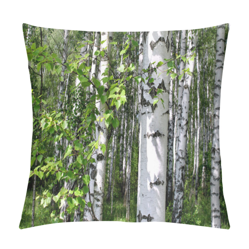 Personality  Birch Trees In A Summer Forest Pillow Covers