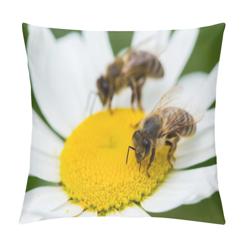 Personality  Bees Sucking Nectar Pillow Covers