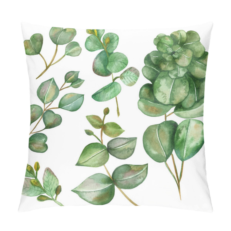 Personality  Watercolor Hand Painted Nature Plants Set With Different Eucalyptus Green Leaves On A Brown Branches Isolated On The White Background, Eco Elements For Trendy Design Elements, Invitations And Cards Pillow Covers