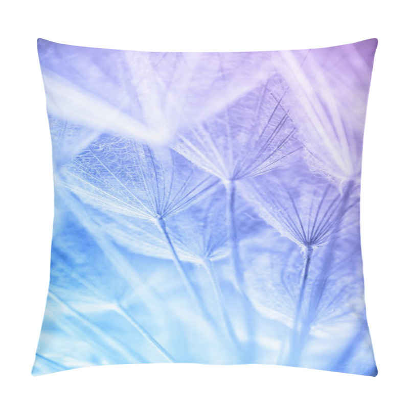 Personality  Abstract Macro Photo Of Plant Seeds At A Morning Pillow Covers