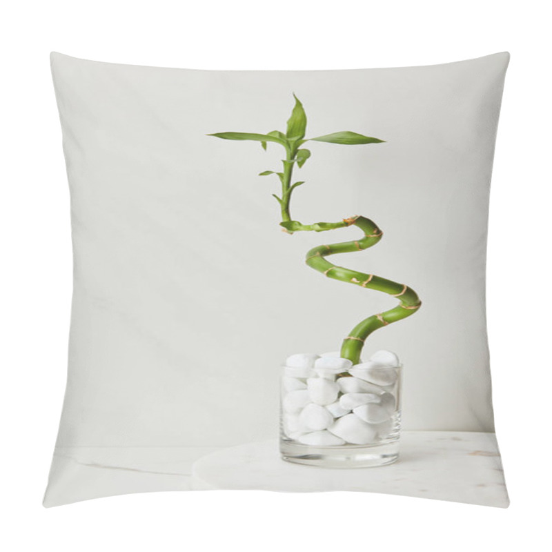 Personality  Round Board And Green Bamboo Stem In Vase With Stones On White Marble Background Pillow Covers