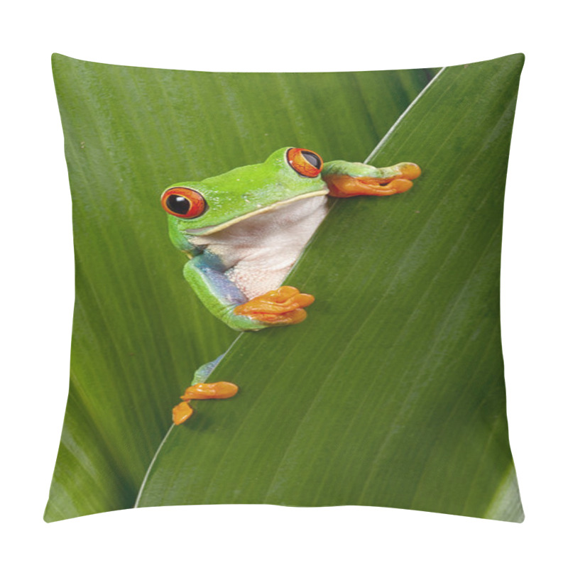 Personality  Red Eyed Tree Frog Peeping Pillow Covers