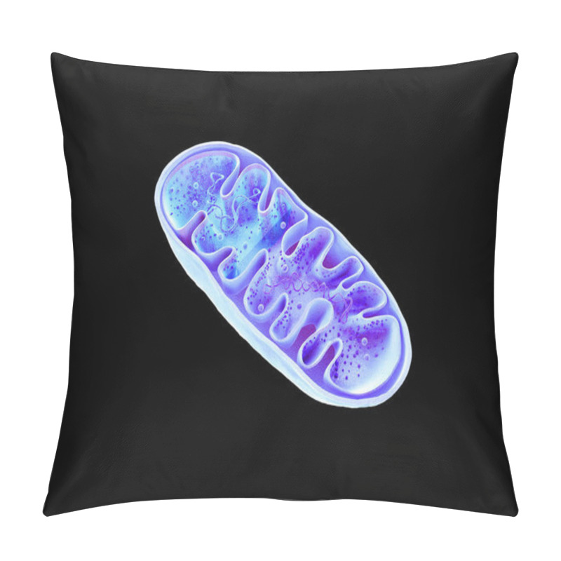 Personality  Mitochondria, Cellular Organelles, Produce Energy,  DNA, 3D Rendering Pillow Covers