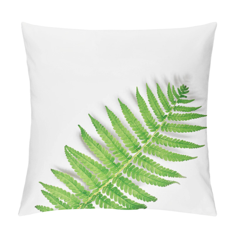 Personality  Fern On A White Background. Frame With Flowers, Branches, Leaves Pillow Covers