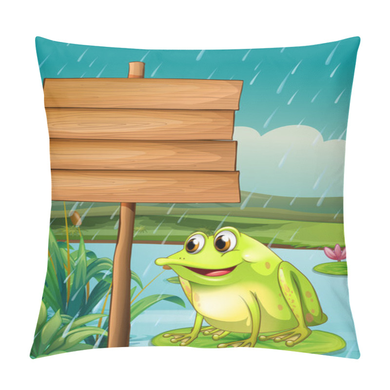 Personality  A Frog Near An Empty Wooden Board Pillow Covers