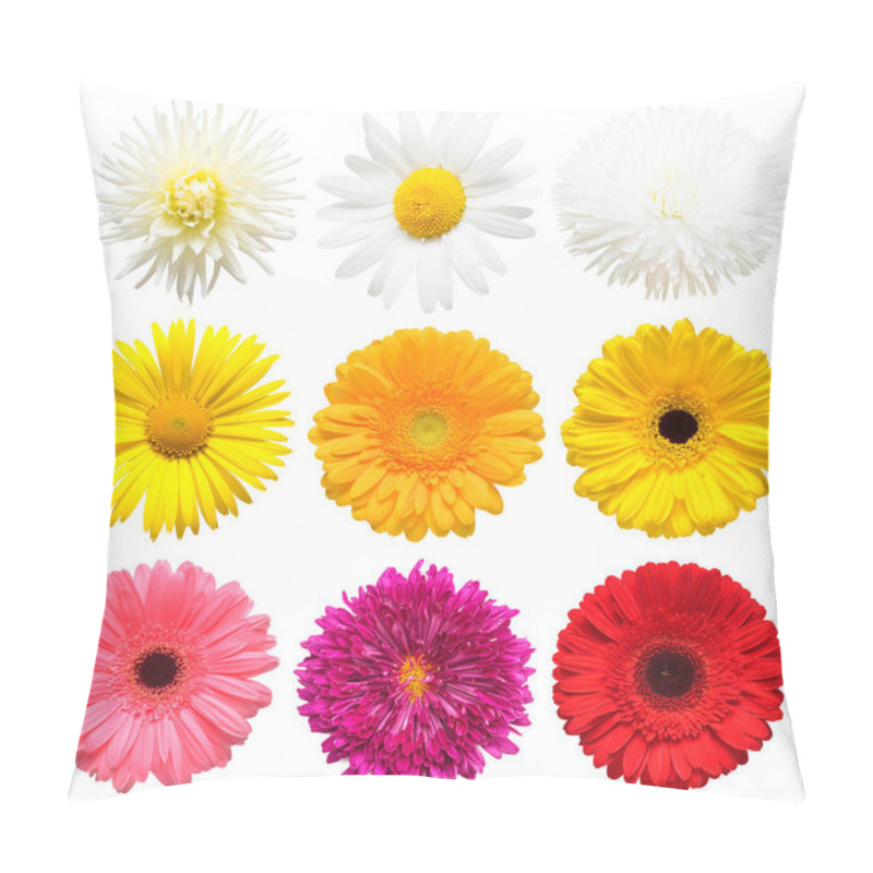 Personality  Flowers Head Collection Of Beautiful Daisy, Calendula, Gerbera, Chrysanthemum, Dahlia, Chamomile Isolated On White Background. Card. Easter. Spring Time Set. Flat Lay, Top View Pillow Covers